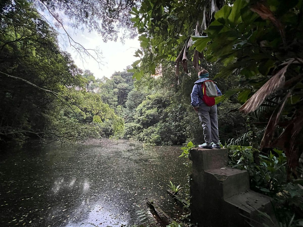 Guided Hiking Adventure- Seah Im Bunker, Mount Faber, Henderson Waves