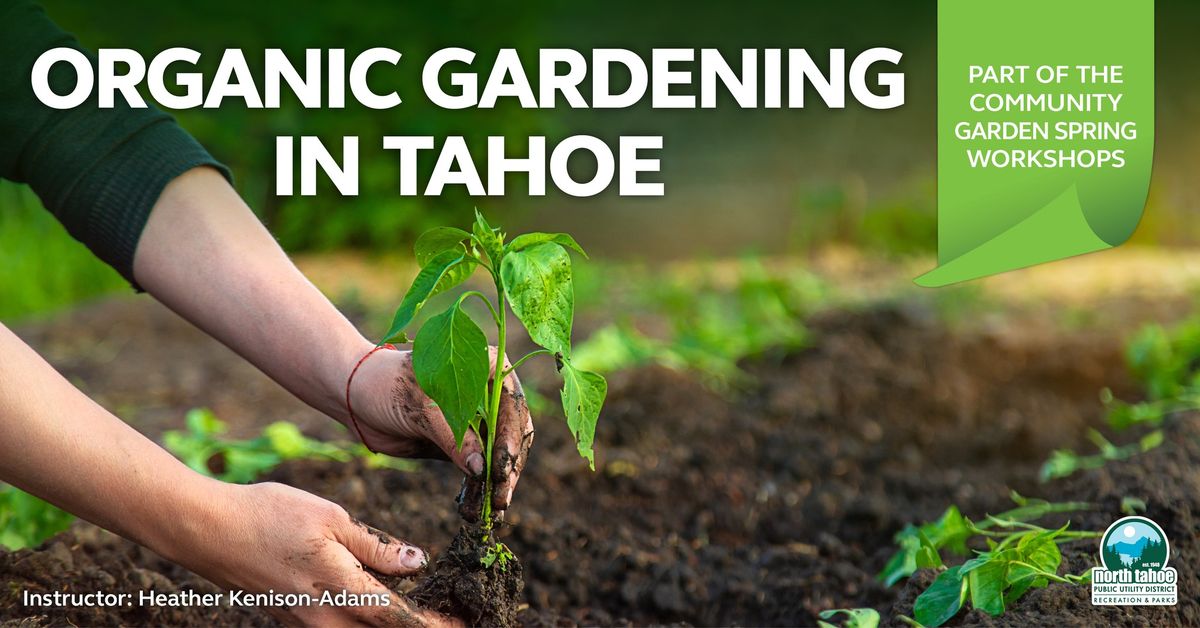 Community Garden Workshop | Organic Gardening in Tahoe