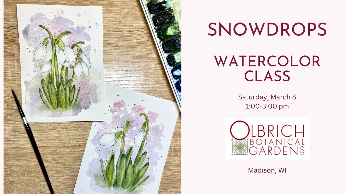 Watercolor Snowdrops Class at Olbrich Botanical Gardens