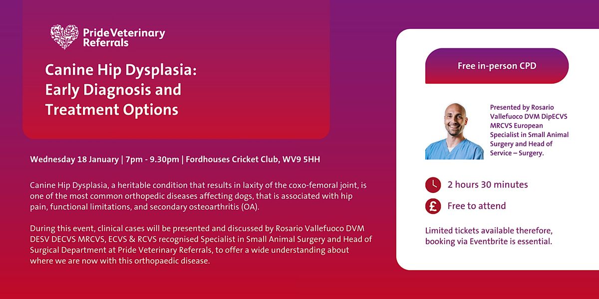 Canine Hip Dysplasia Early Diagnosis and Treatment Options, Fordhouses