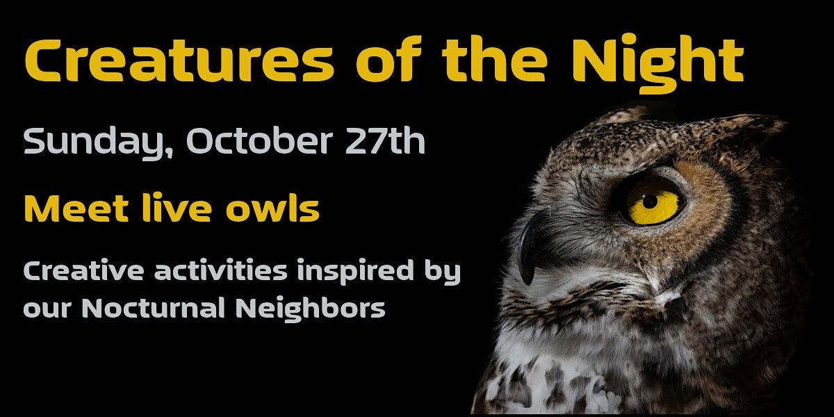 Owls: Creatures of the night