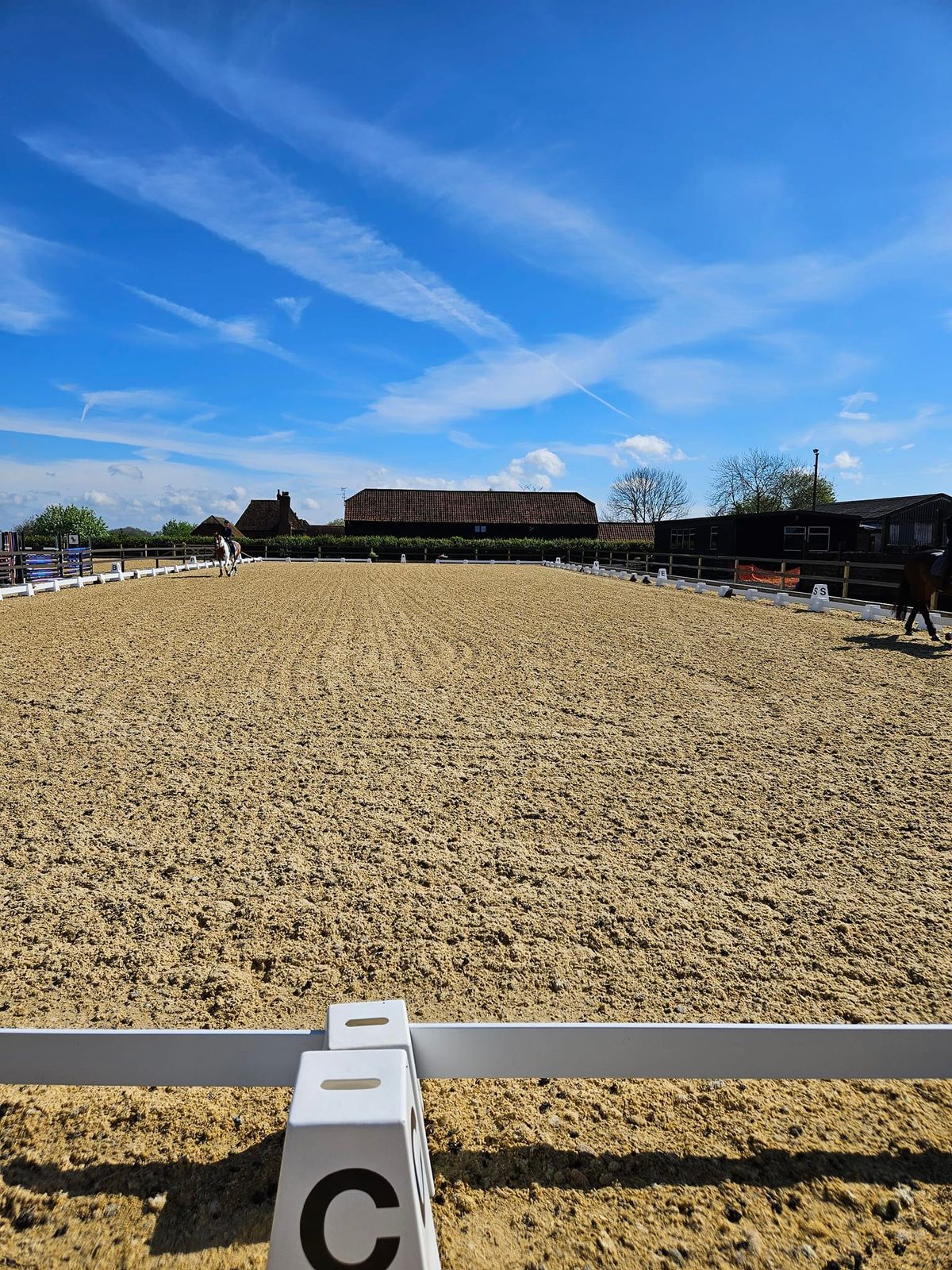 Radley Green Equestrian Clinic.