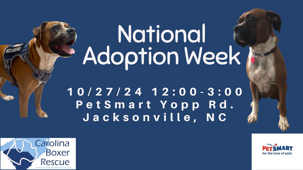 National Adoption Week 