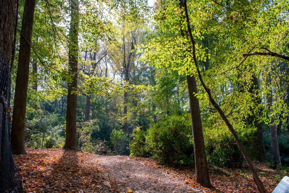 Morning Hike