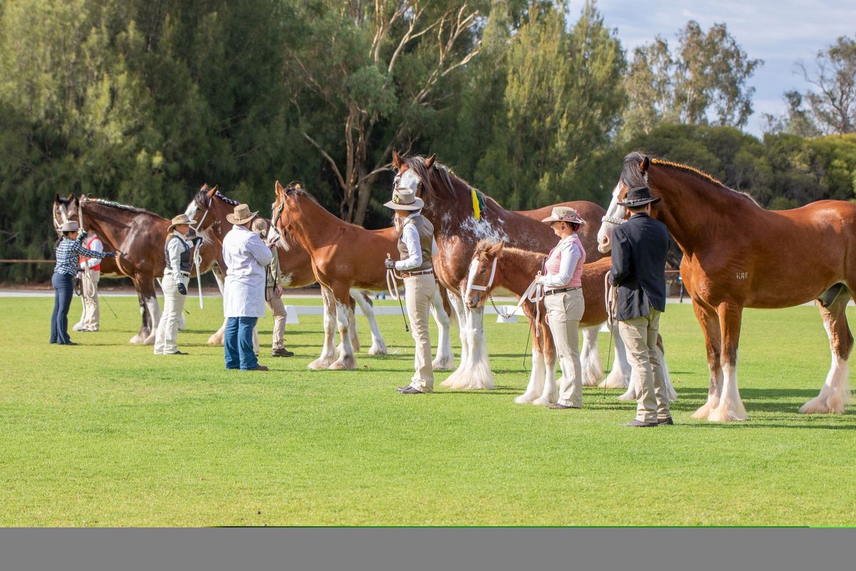 AHHAWA Spring Show 2024