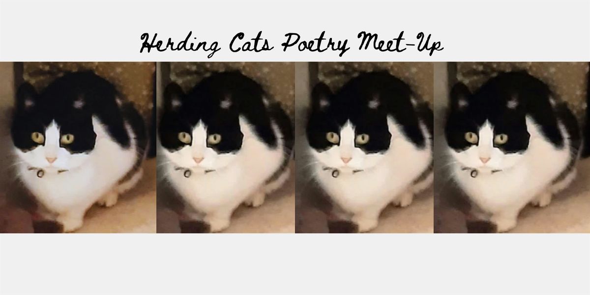 Herding Cats poetry meet-up 25th July 2024