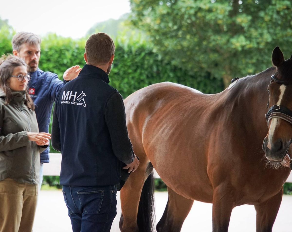 EGAS Annual Event 2024: Equine Gait Analysis