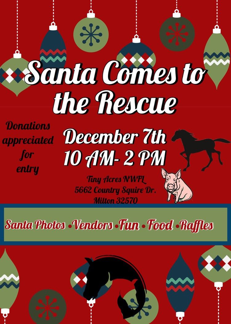 \ud83d\udc0e Santa Comes to the Rescue Christmas Event \ud83d\udc0e