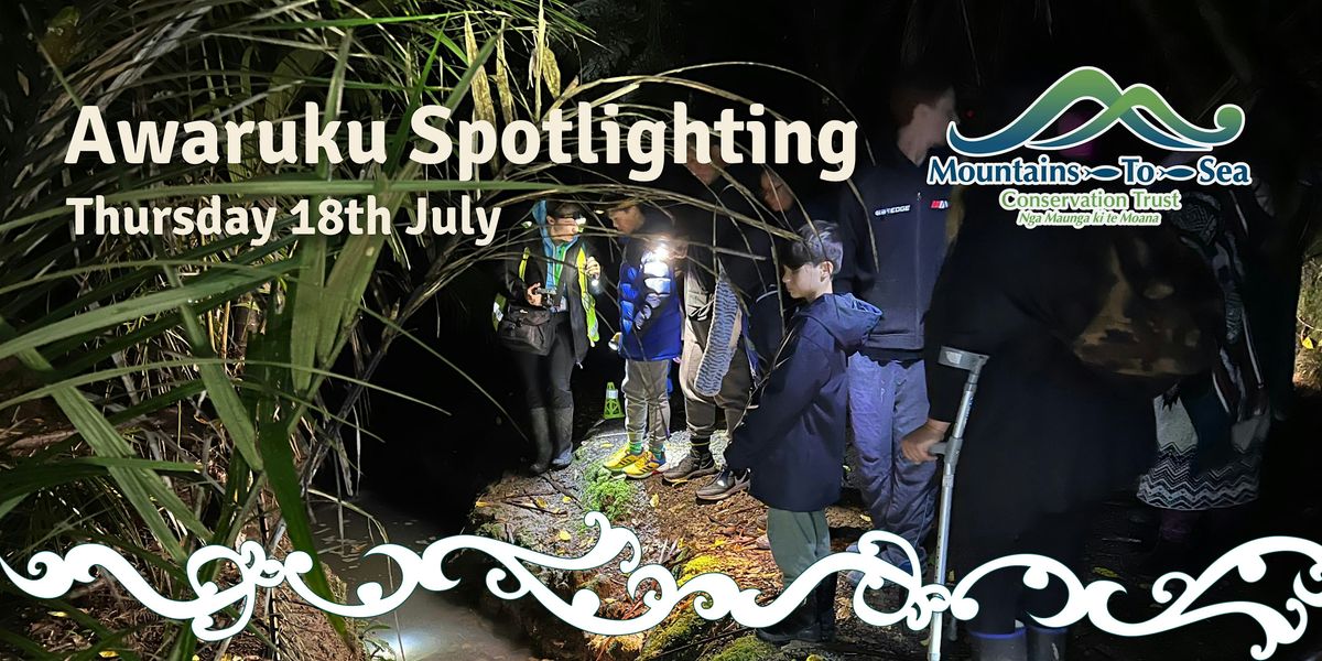 Awaruku Creek Spotlighting