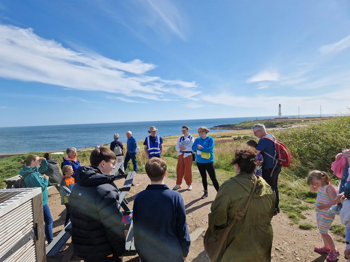 Wild Wednesdays at Greyhope Bay