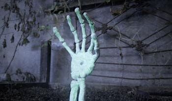 Bare Bones: Halloween graveyard garden decorations