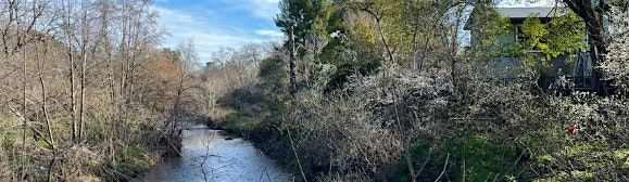 Royer\/ Saugstad Creek Cleanup Event -- Nov. 9, 2024