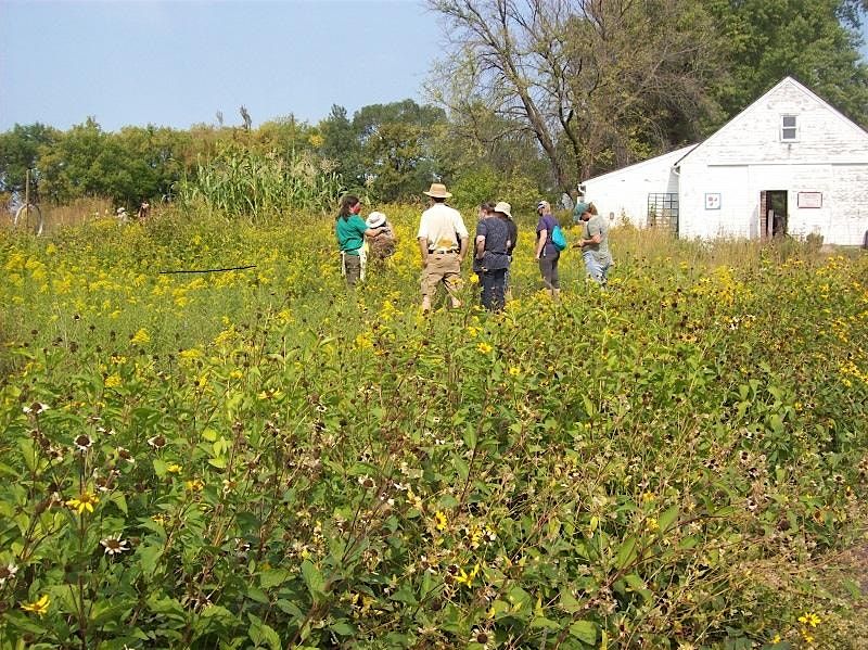 Seed Collection at Gibbs Farm