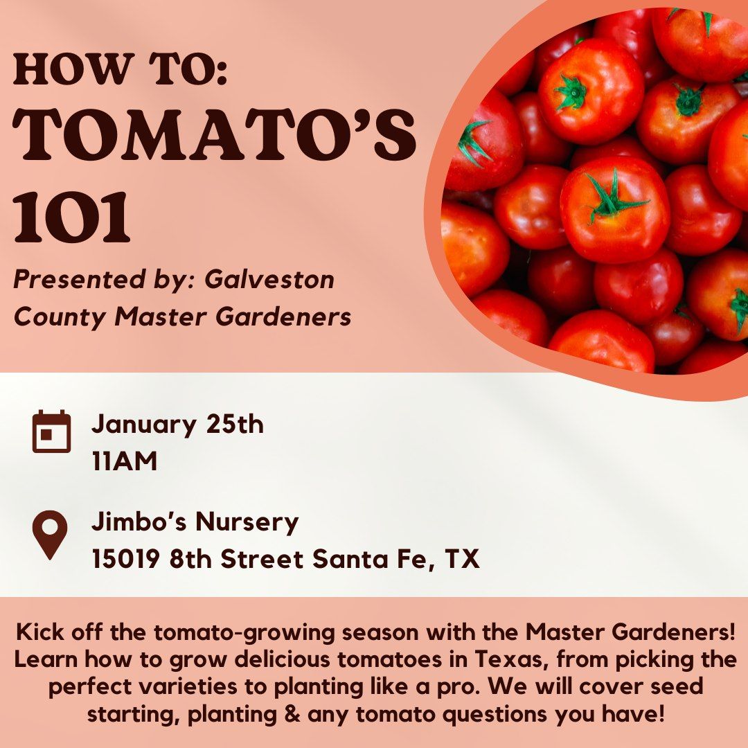 How To: Tomato's 101 with Galveston County Master Gardeners