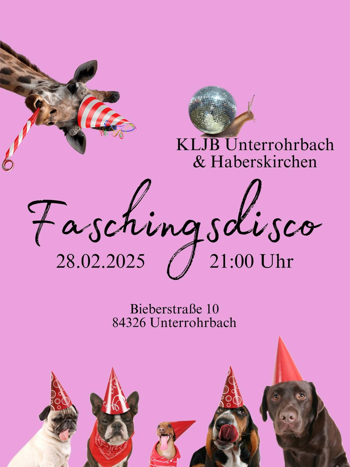 Faschingsdisco KLJB Unterrohrbach & Haberskirchen 