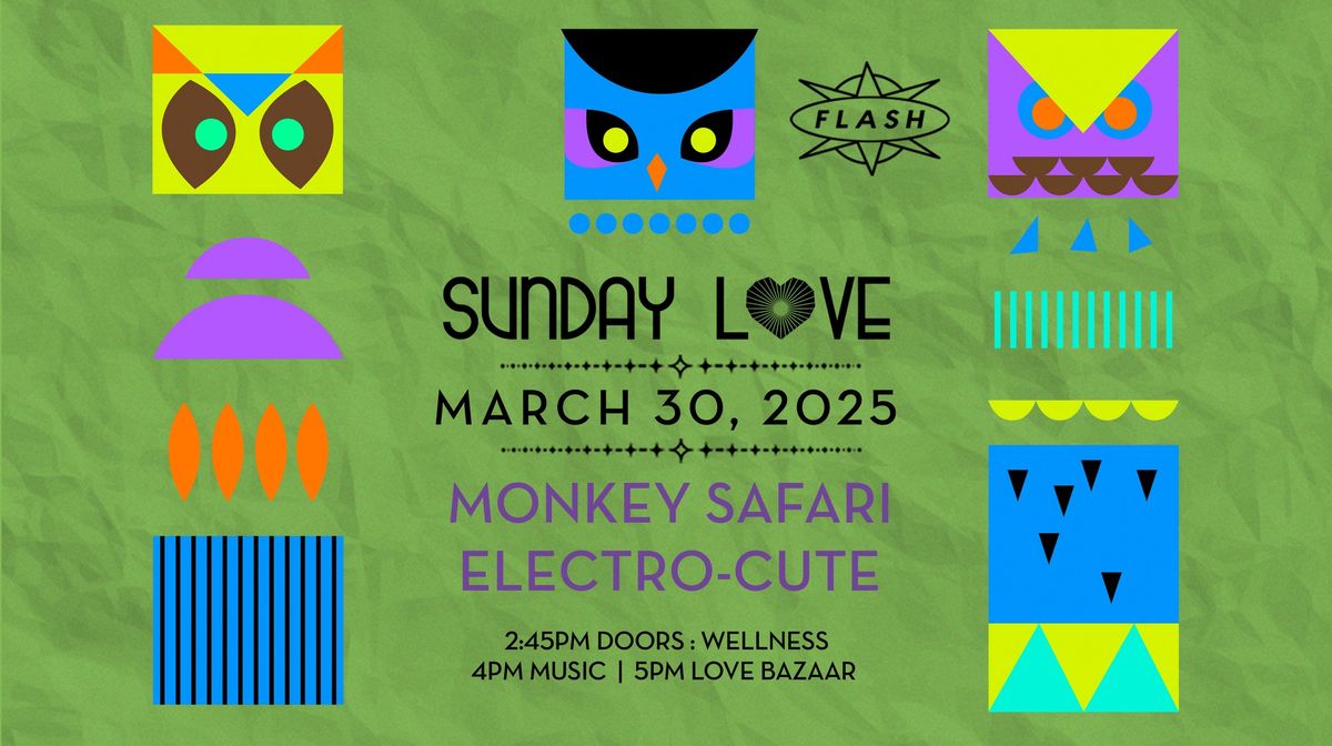 Sunday Love: Monkey Safari - Electro-cute