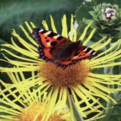 Enchanted Gardens Kent