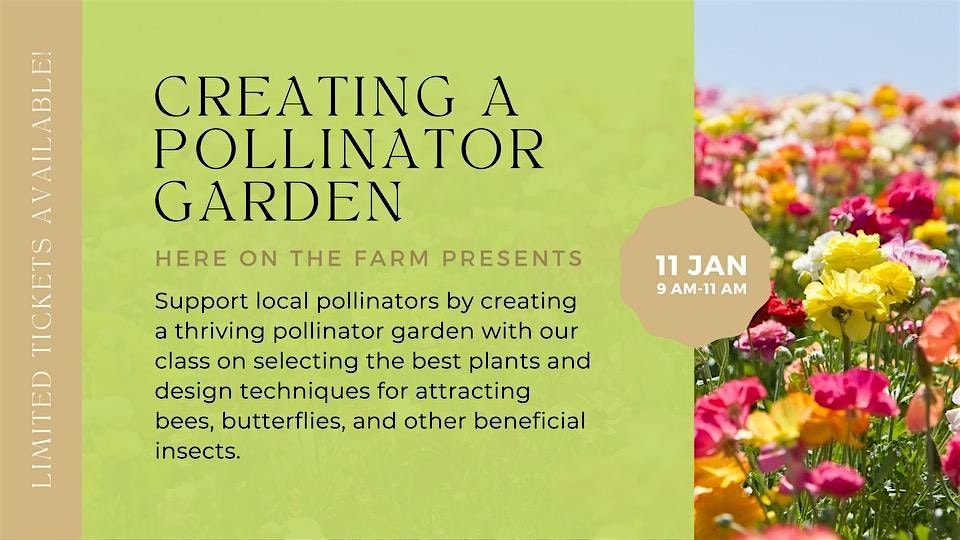 Creating a Florida Pollinator Garden