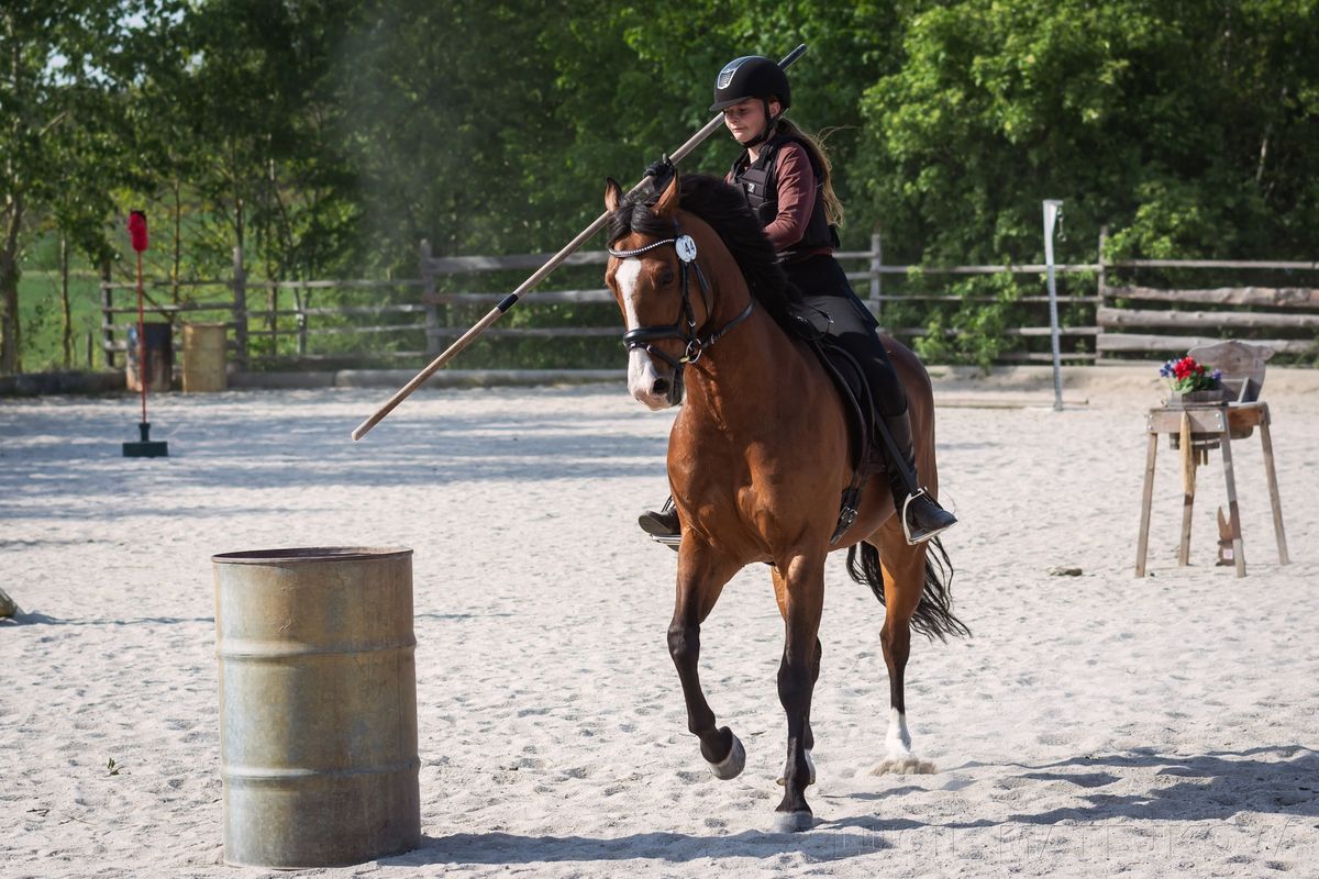 Z\u00e1vody Working Equitation Ranch Calamity Jane