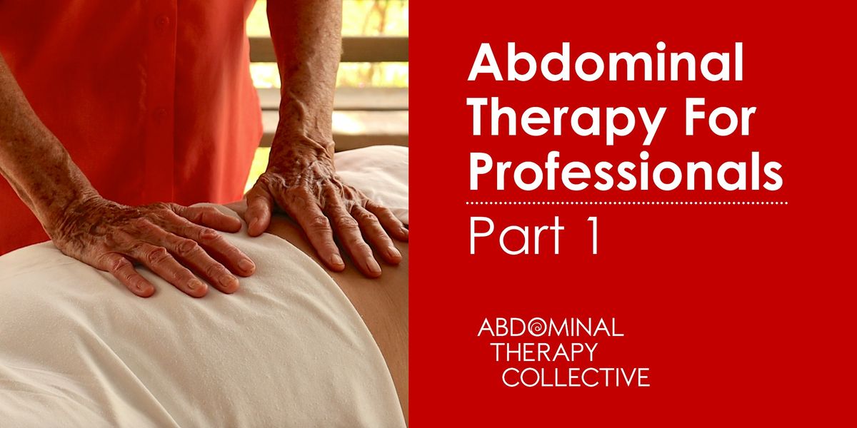 Abdominal Therapy For Professionals: Part One - Twickenham