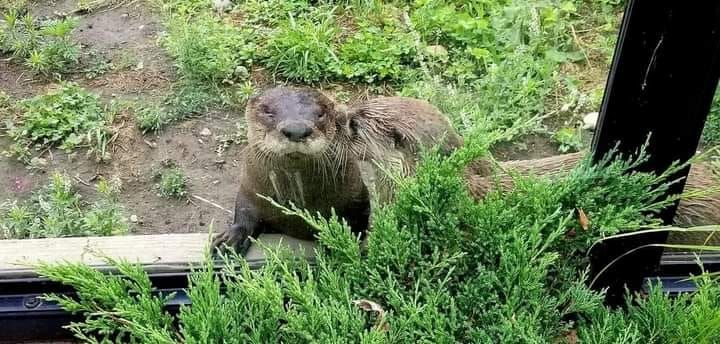 "Sundaes in the Park, an Ice Cream Social benefiting the Friends of the Baraboo Zoo