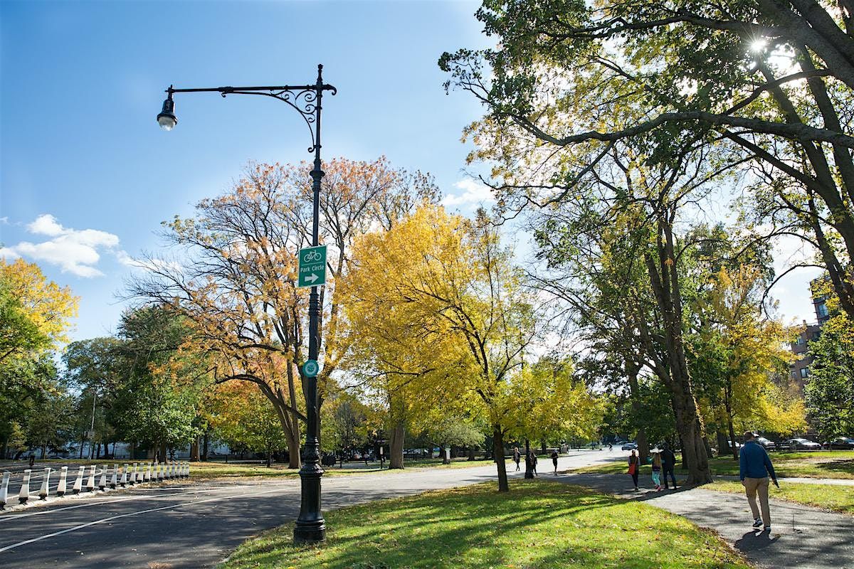 Free Fitness Walks in Prospect Park for Adults Ages 60+