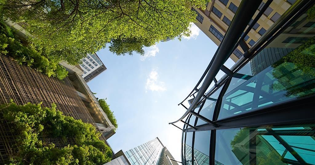 Carbon Offsetting and Pricing Masterclass (London)