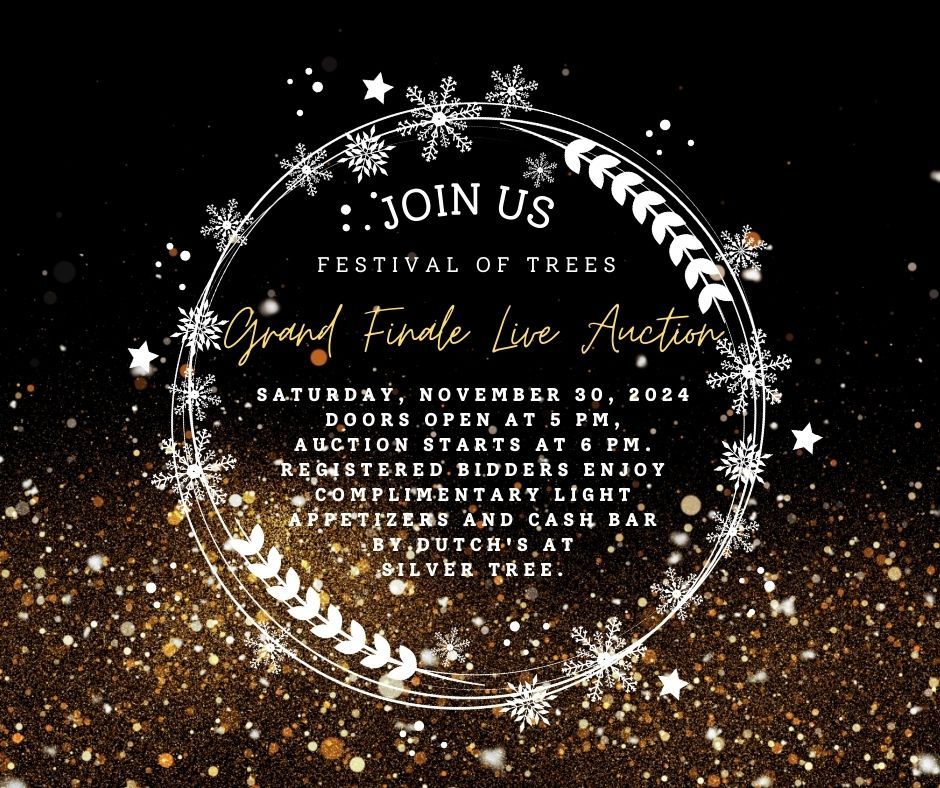 Grand Finale Live Auction, Festival of Trees 2024