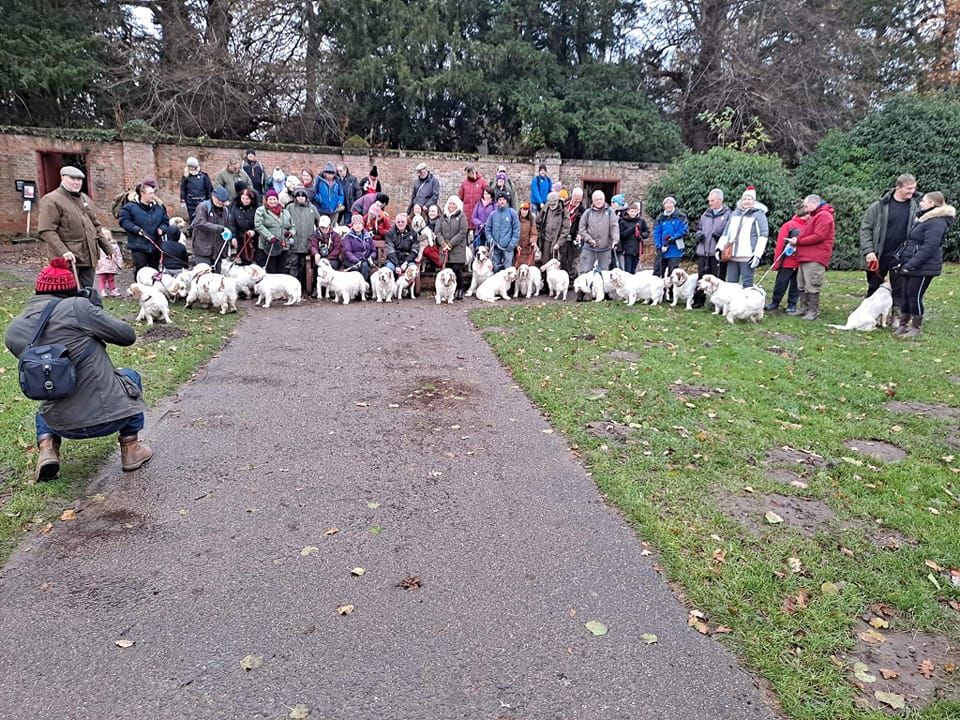 Clumber walk Erdigg Hall