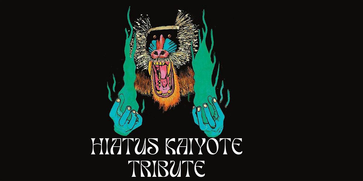 Haitus Kaiyote Tribute