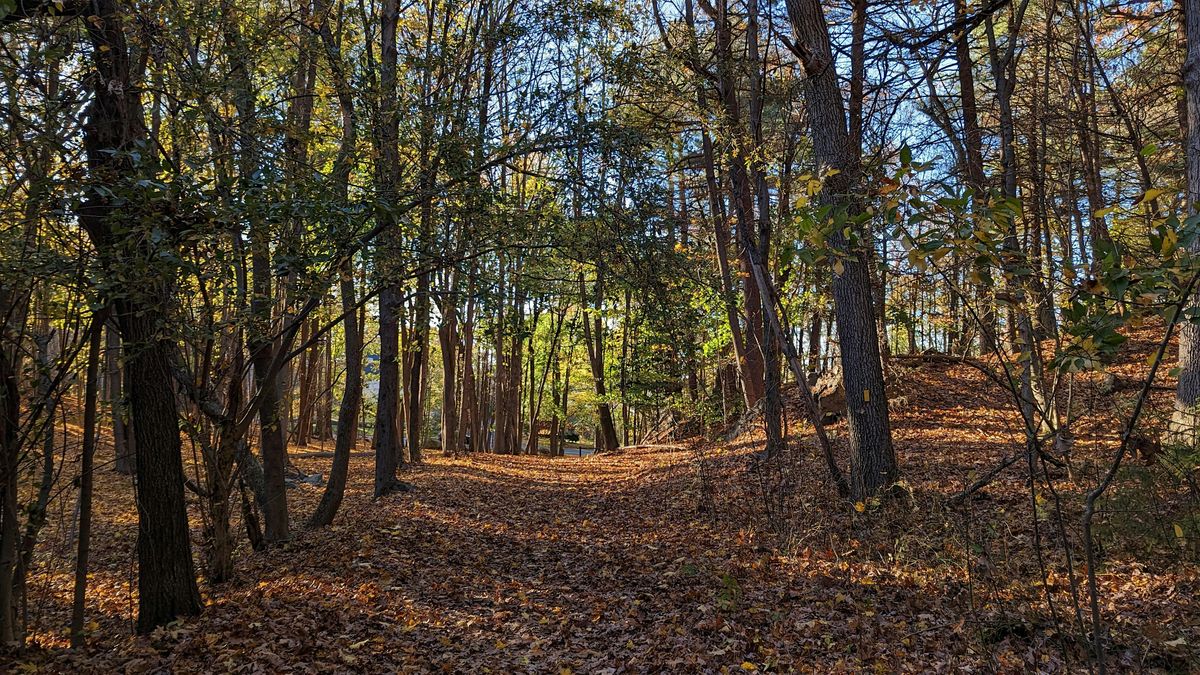 Walk at Long Pond