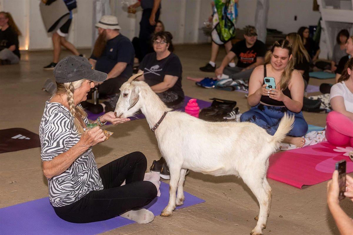 Goat Yoga