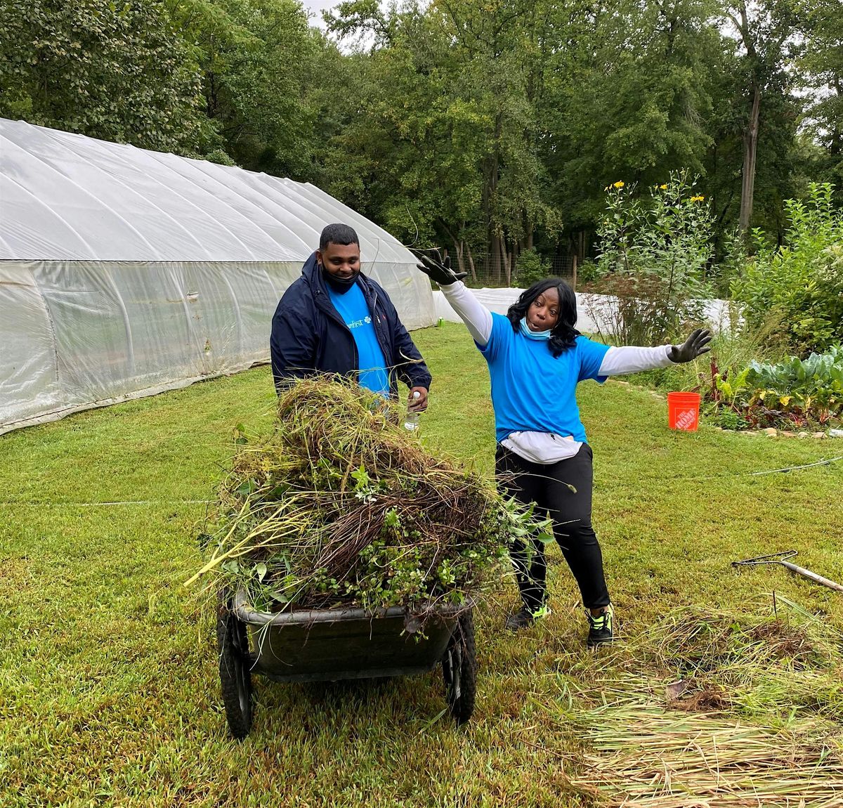 Volunteer at THEARC Farm