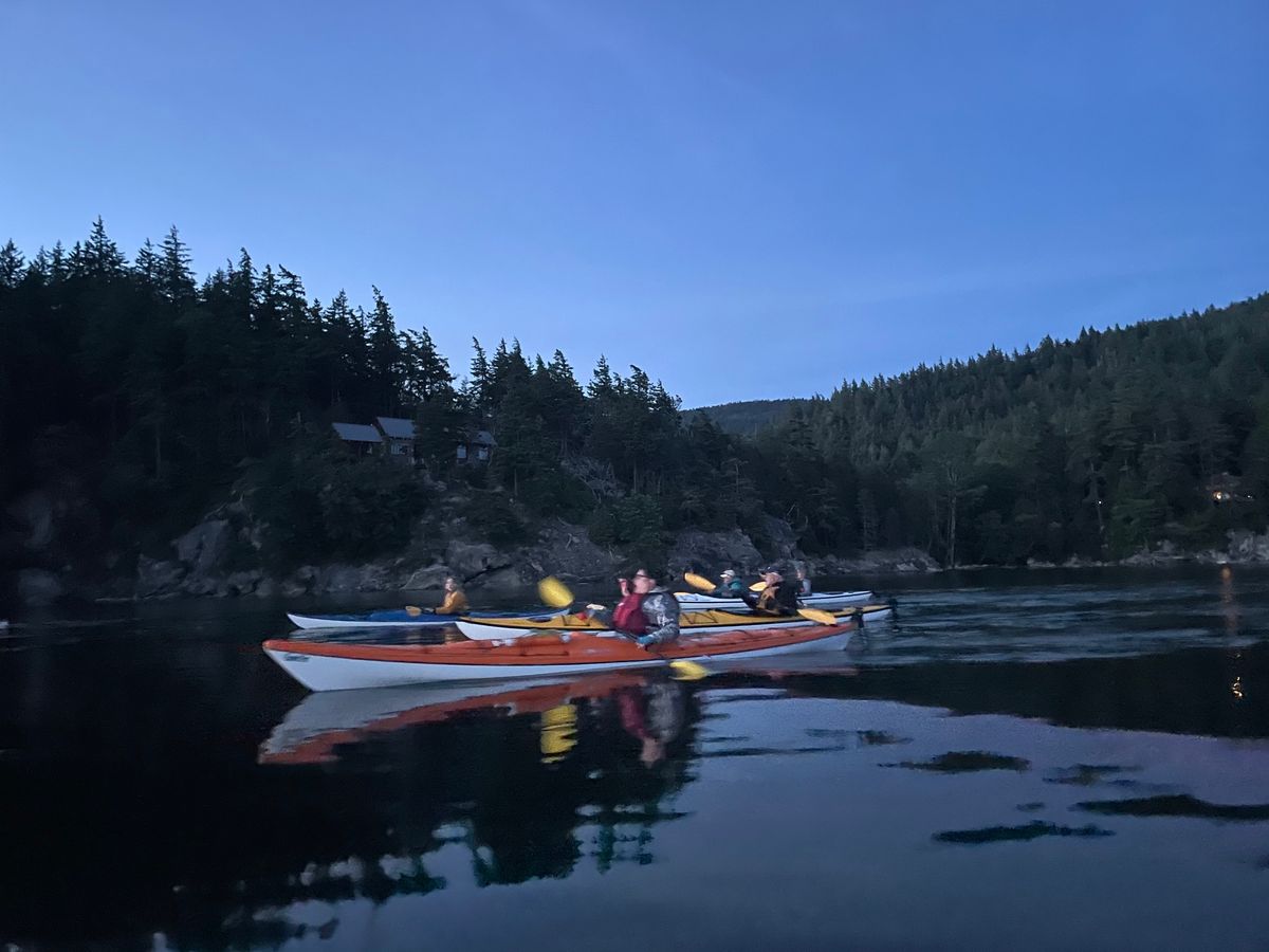 Bioluminescence Kayak Tour