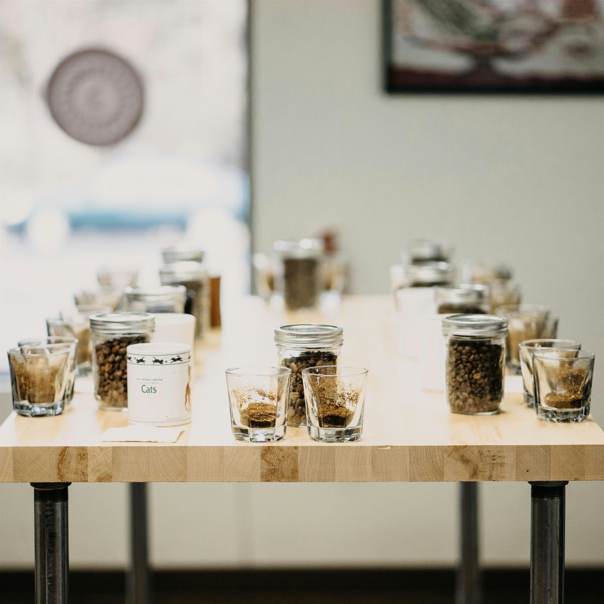 OZO Coffee | Intro to Coffee and Cupping