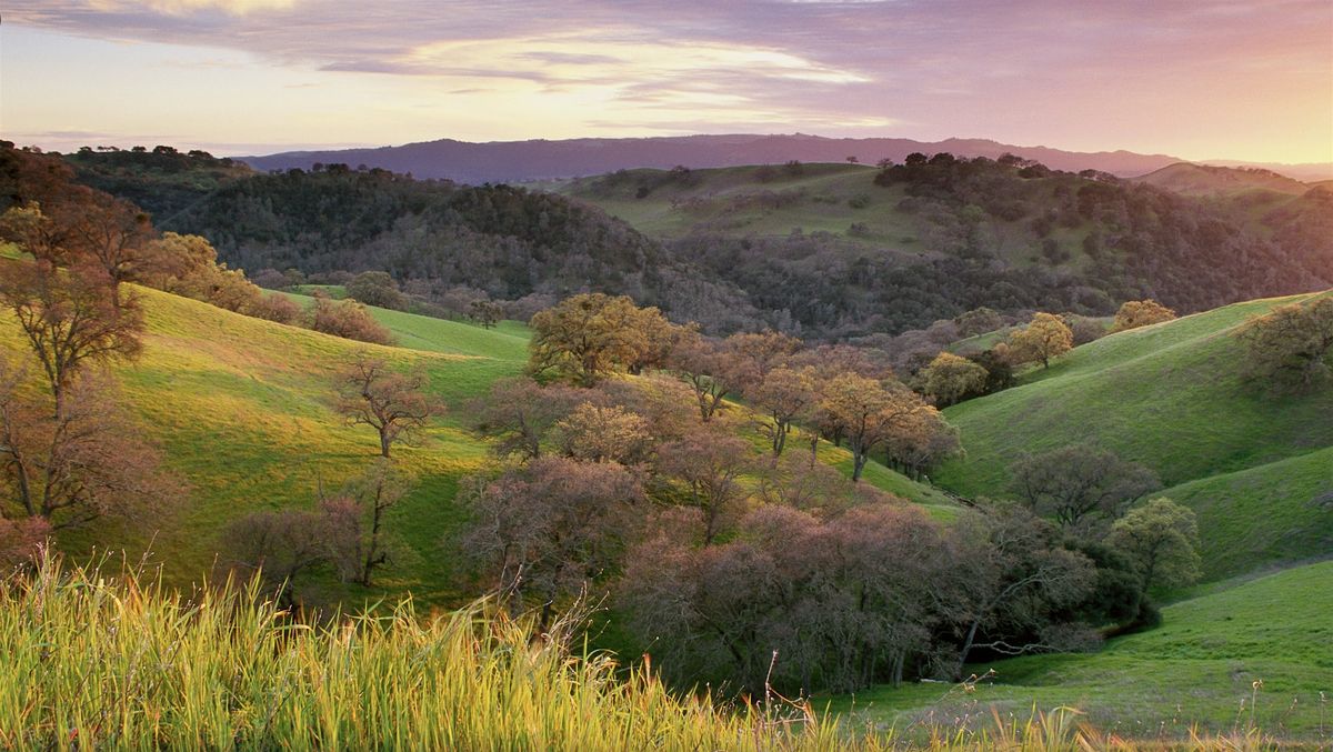 Introduction to Wild Spirit Recreation - Campout at Mt. Diablo!