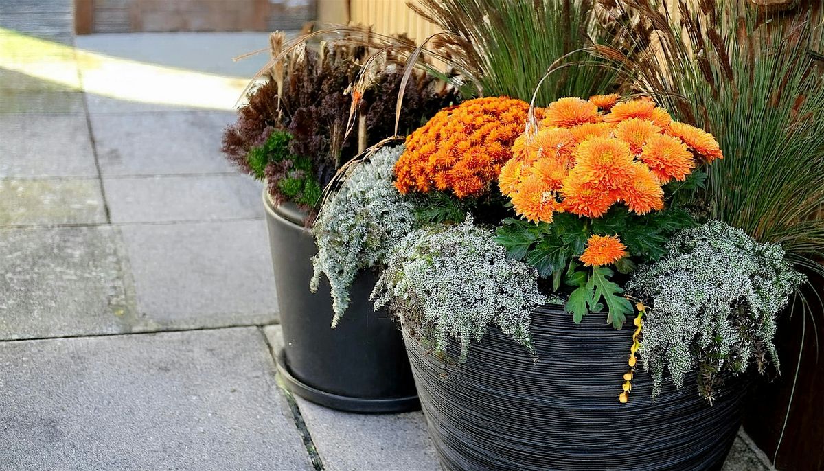 Fall Planting & Landscaping Masterclass