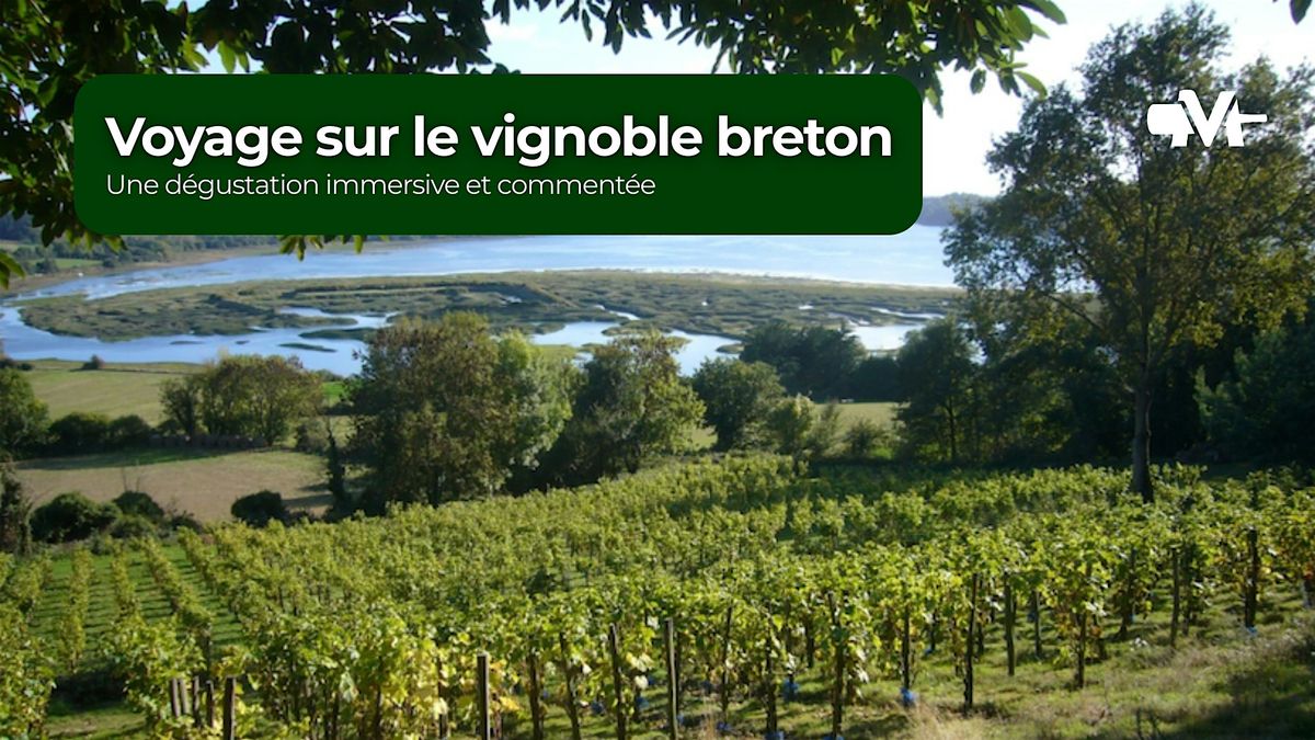 Atelier M\u00e9diavino - Voyage sur le vignoble breton