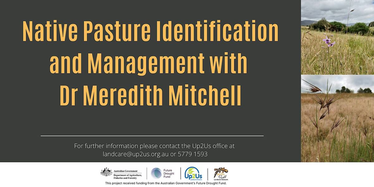 Native Pasture Identification and Management