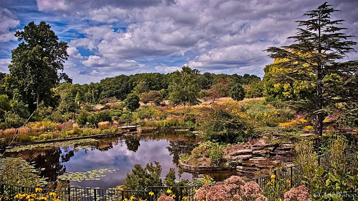 Composition in the Field - Photography Workshop