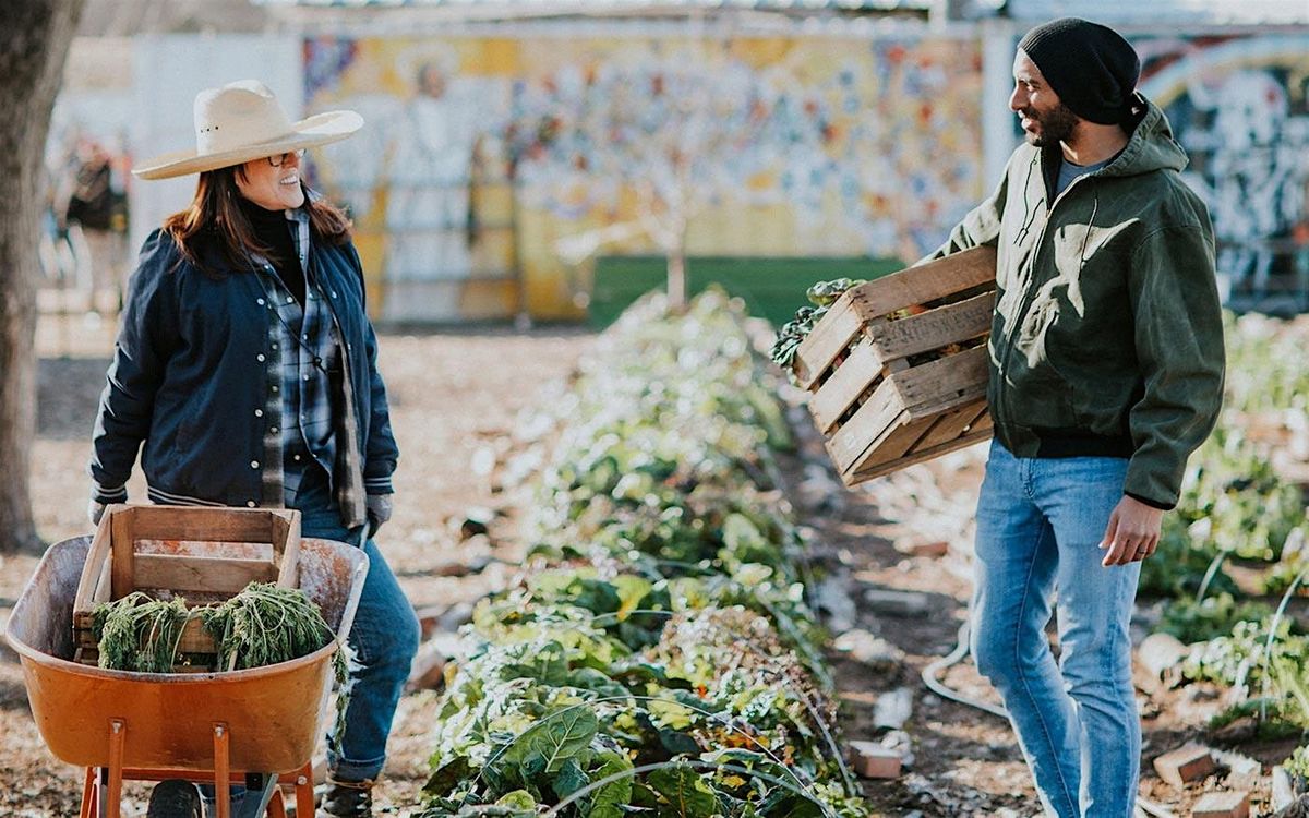 Locally Grown Experience with Bonton Farms - Growing at Home