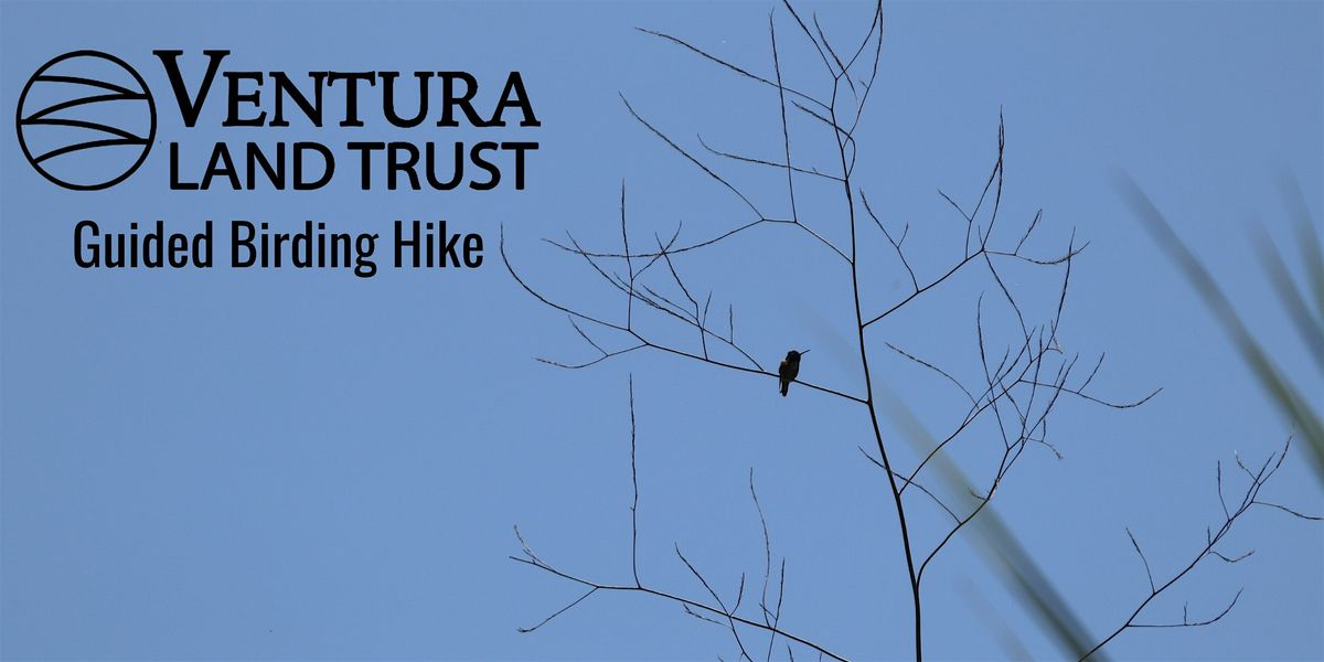 Guided  Fall Migration Birding Hike