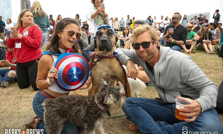 Barks & Brews Festival  2022:A dog & drinking experience
