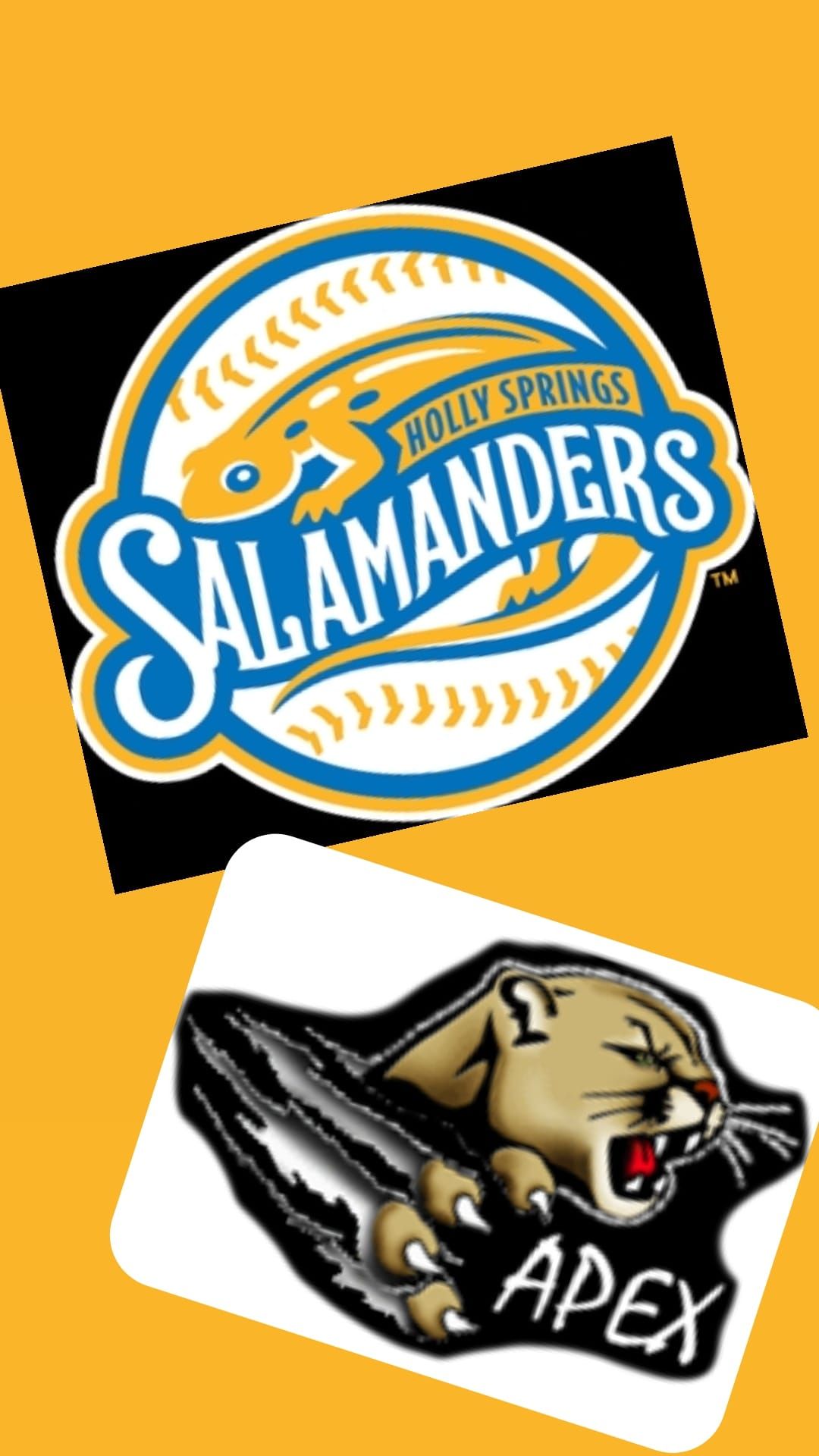 Family Night with Holly Springs Salamanders