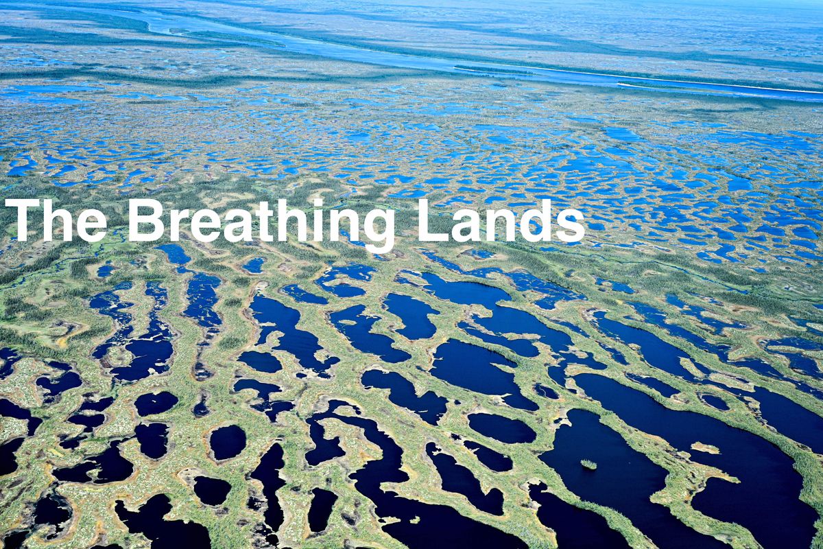 The Breathing Lands - Canada\u2019s ancient peatlands can save us