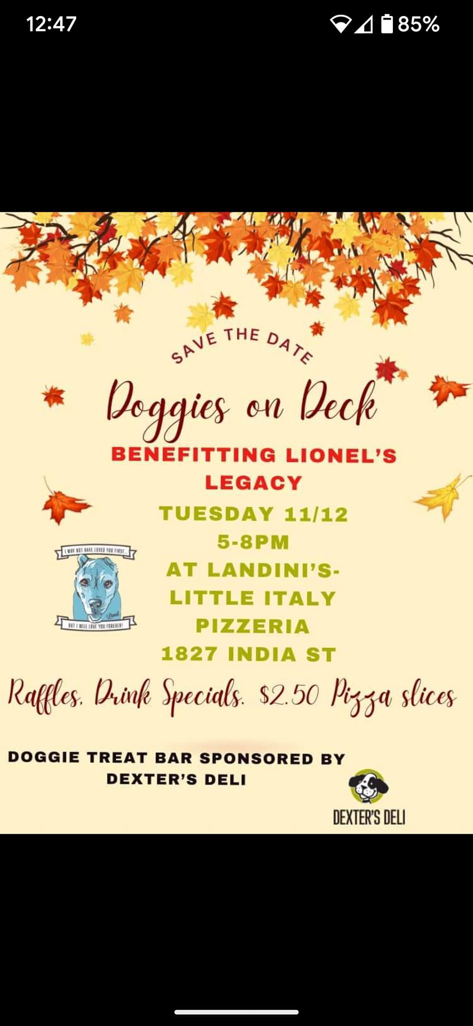 Doggies on Deck Benefitting Lionel's Legacy! 