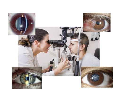 Kursus i spaltelampeunders\u00f8gelse af \u00f8jet