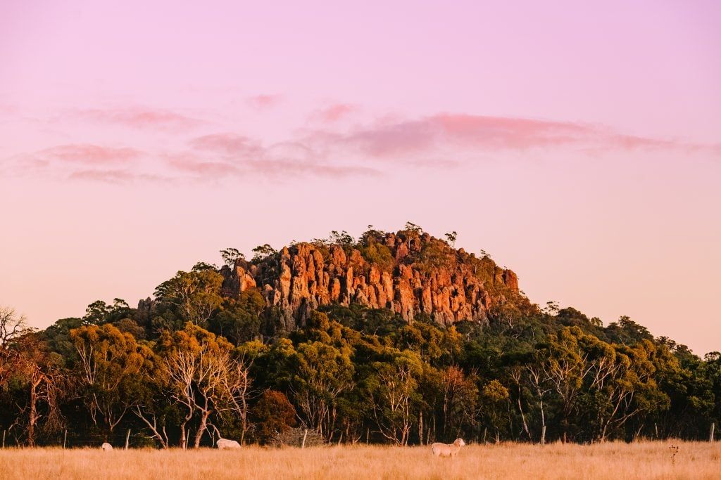 2025 Macedon Ranges Music Festival