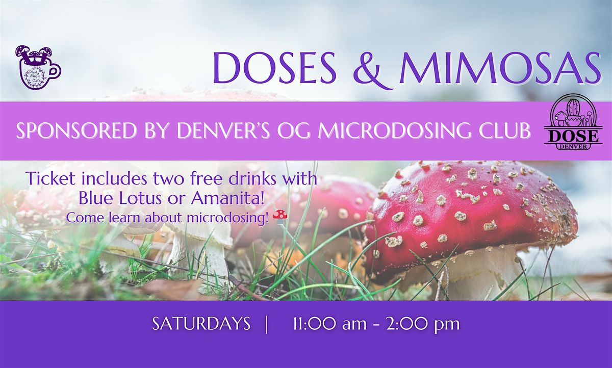 Doses & Mimosas: Psychedelic Resource Center Fundraiser!