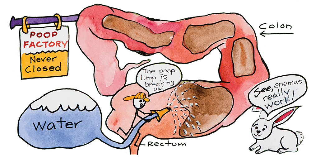 Introduction to Enema Therapy, Surya Sound Temple, Brooklyn, 27 June 2022